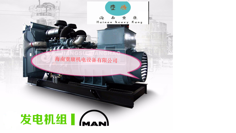 我(wo)公(gōng)司爲(wei)華山(shān)大(da)廈供應100玉柴髮(fa)電(dian)機(jī)組